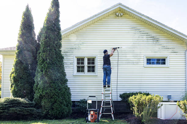 Best Local Pressure Washing Services  in Newmanstown, PA