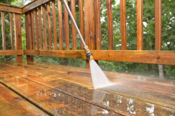 Best Affordable Pressure Washing  in Newmanstown, PA